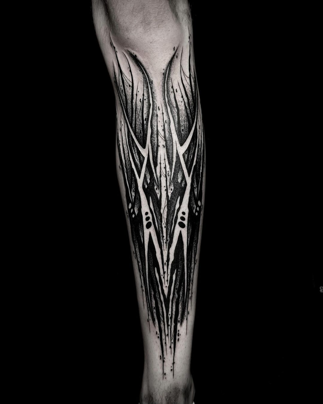 Portfolio de Black Nox