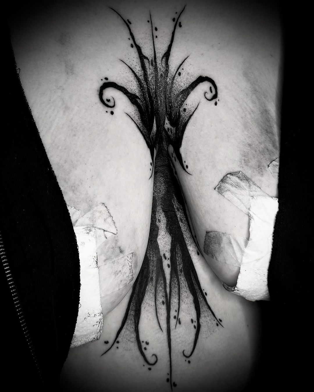 Portfolio de Black Nox