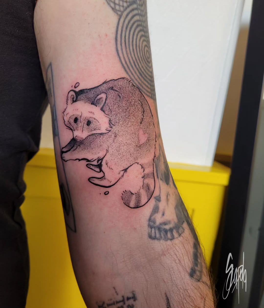 Portfolio de Scapula