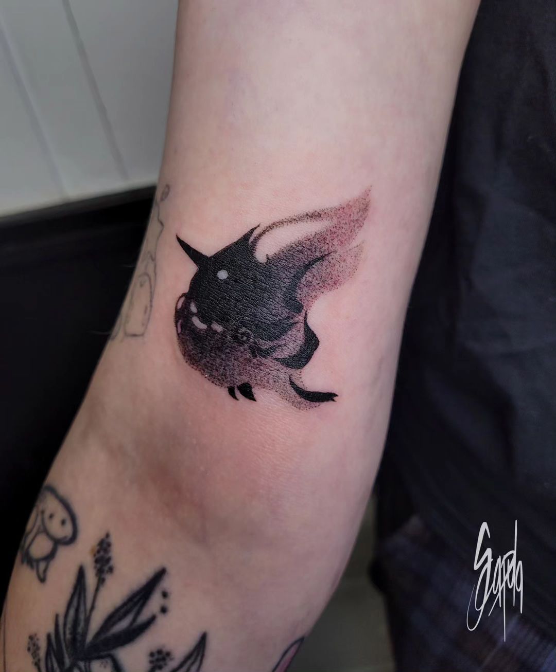 Portfolio de Scapula