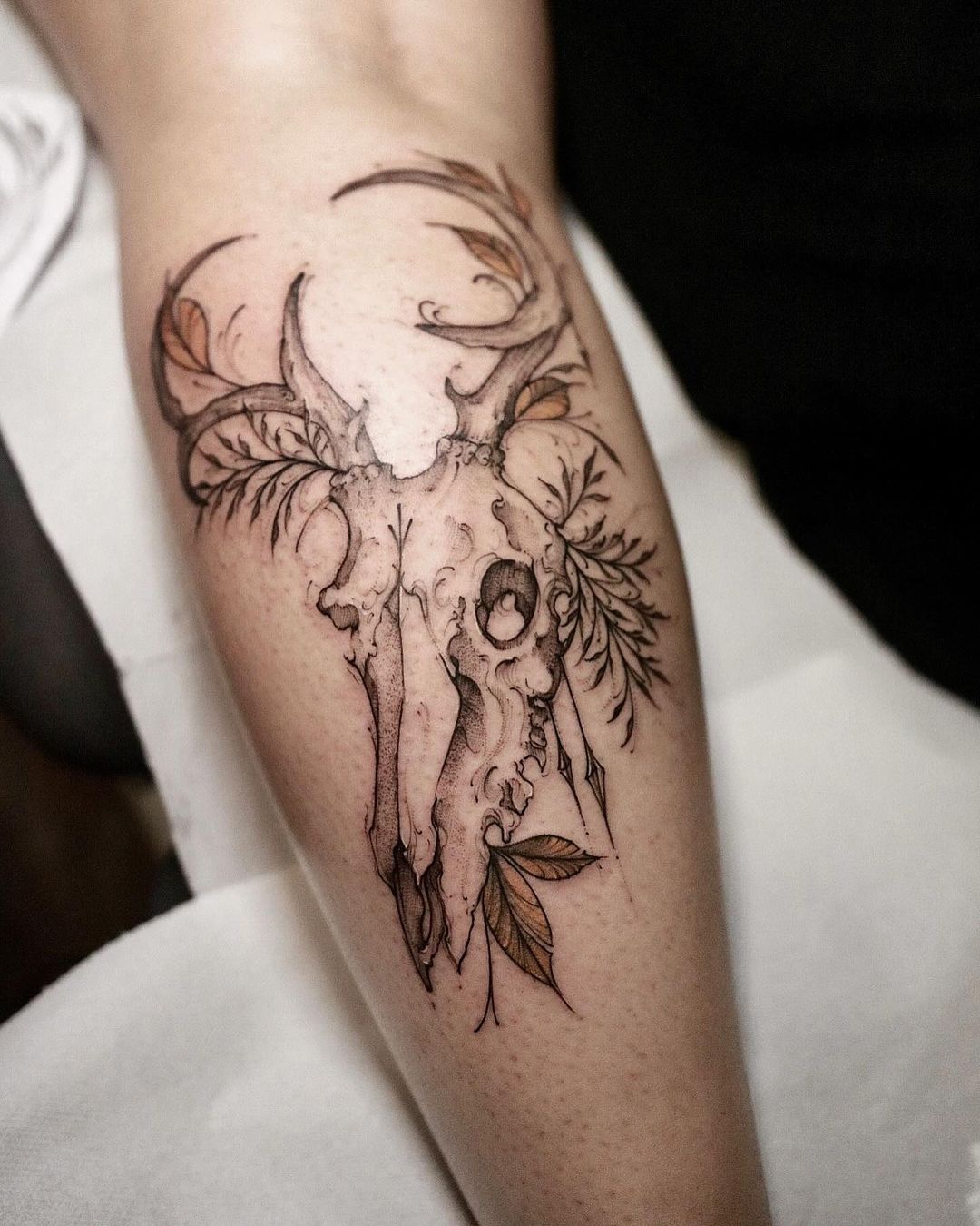 Portfolio de l'Atelier d'Automne