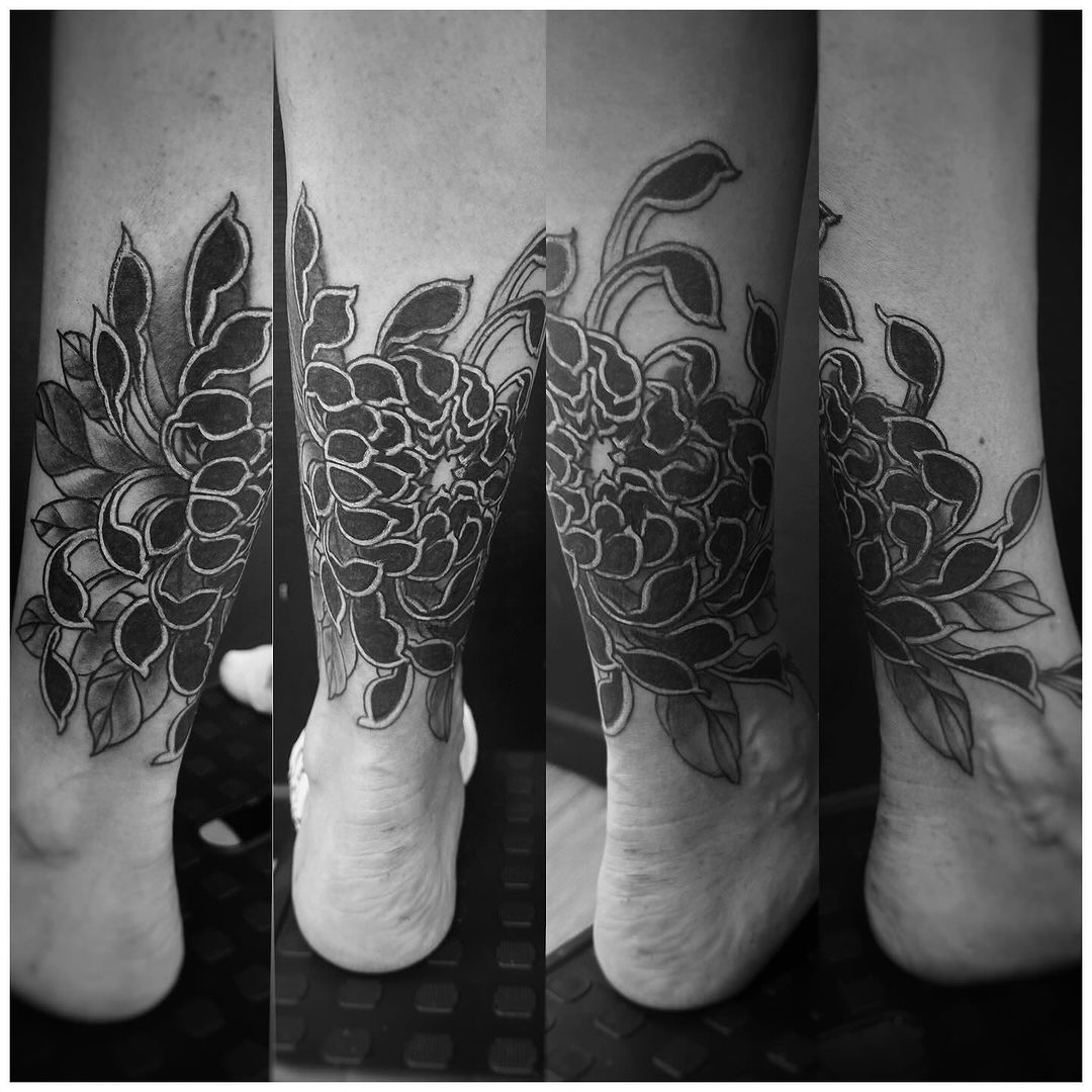Portfolio de Gui Hardside