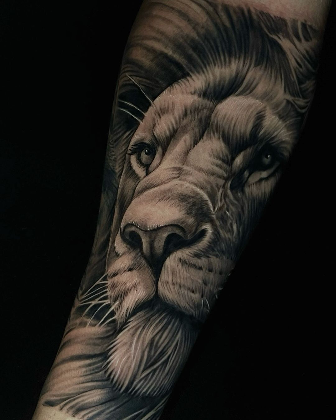 Portfolio de Fernando Costa Tattoo