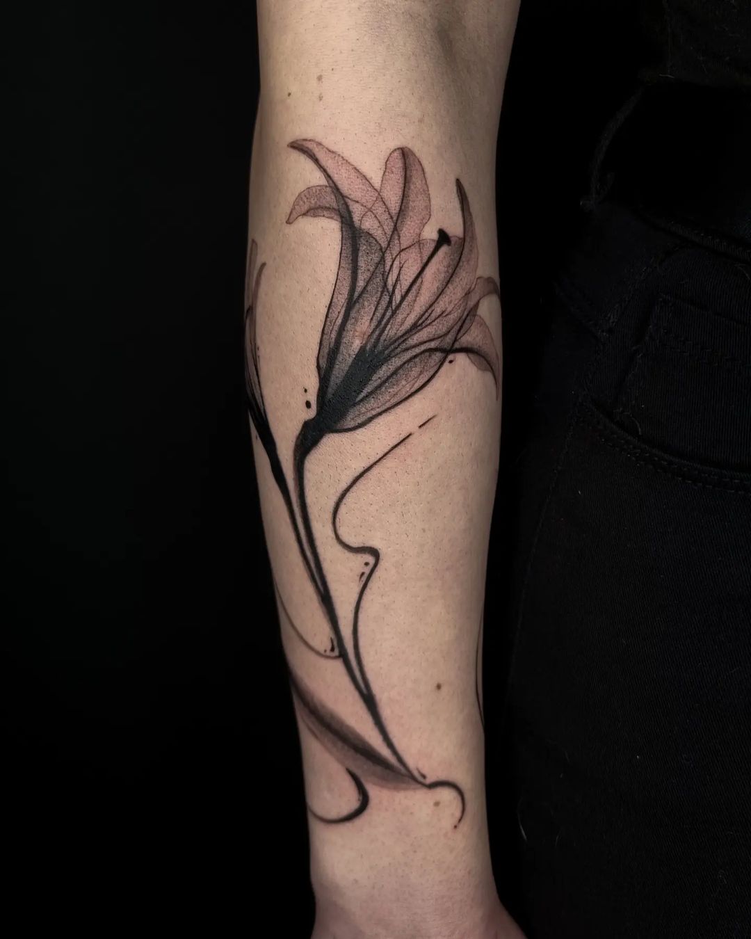 Portfolio de TSUL