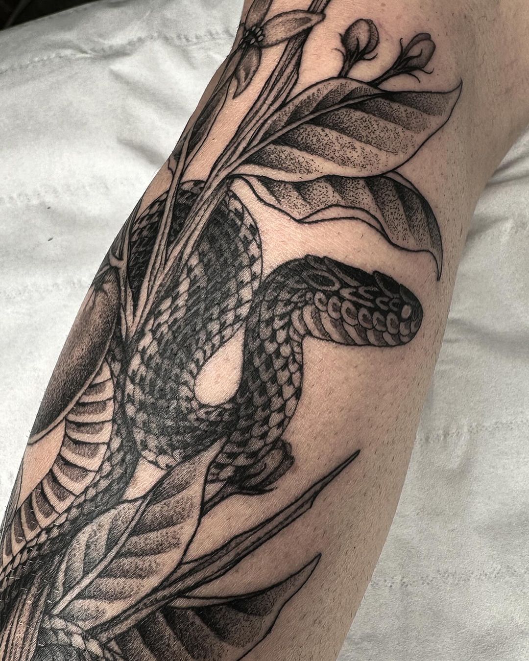 Portfolio de E L I O T D E M A R I A Tatouages