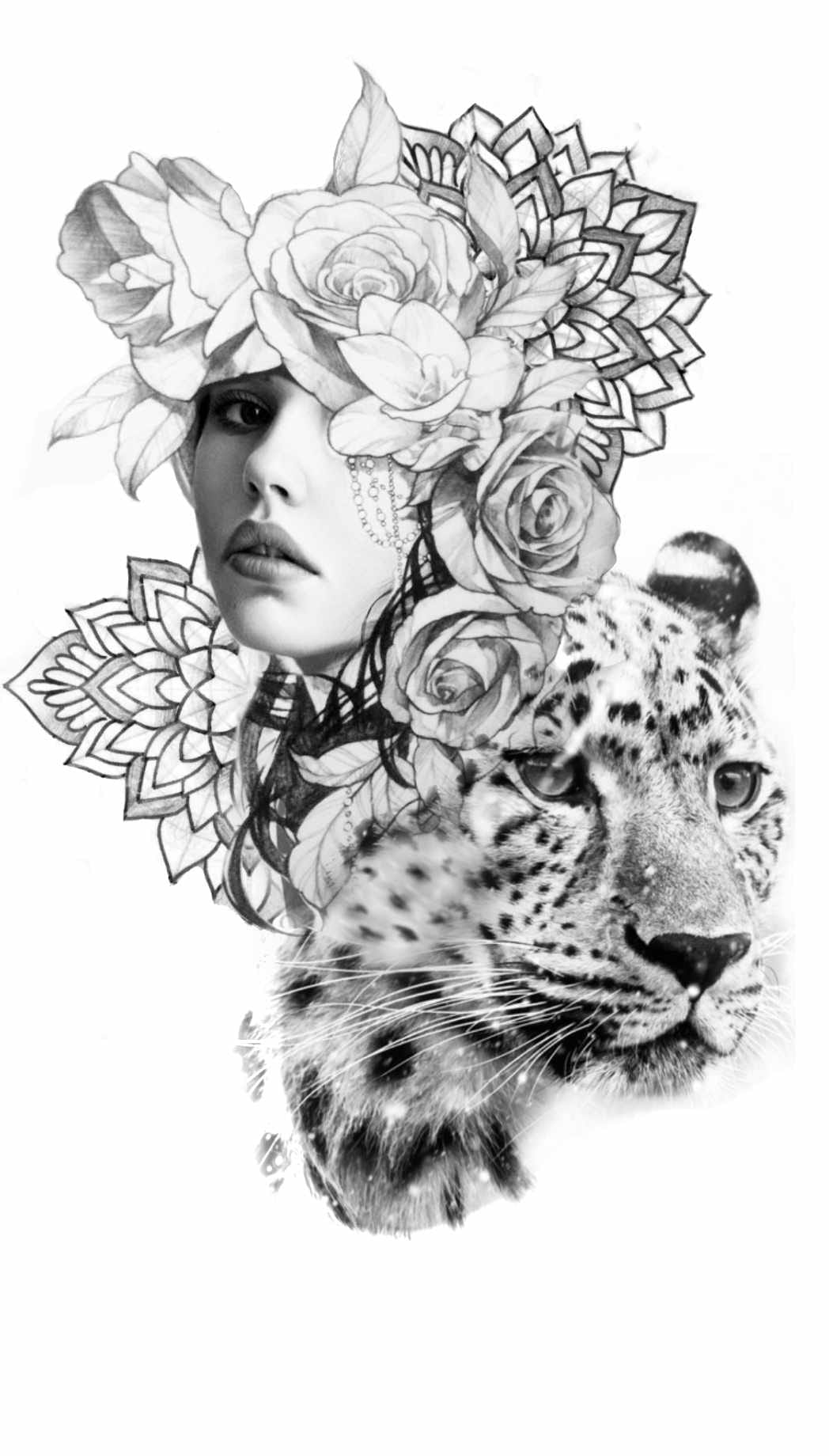 Portfolio de Snake Tattoo