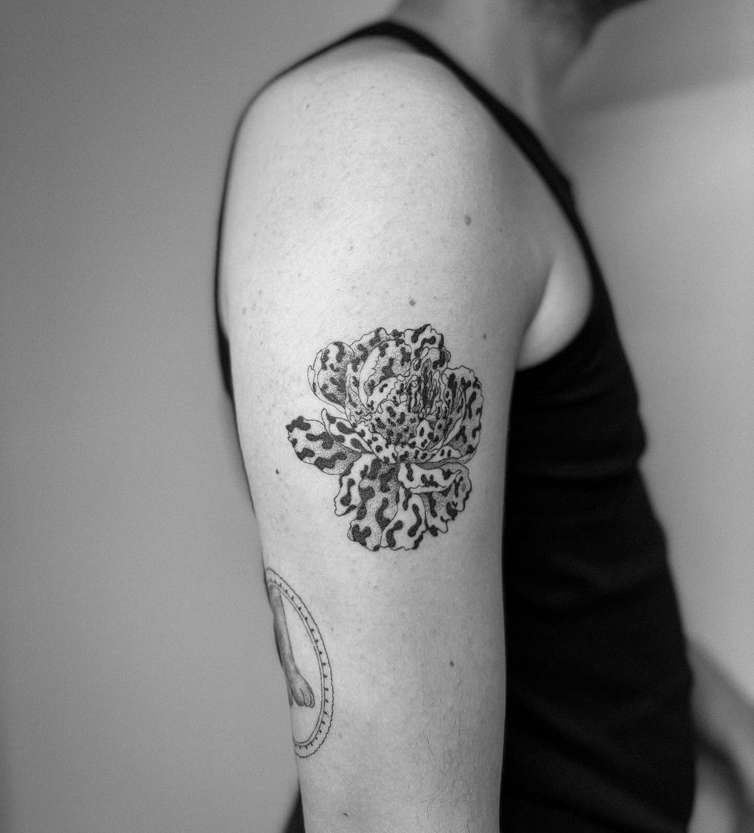 Portfolio de Tati Cams