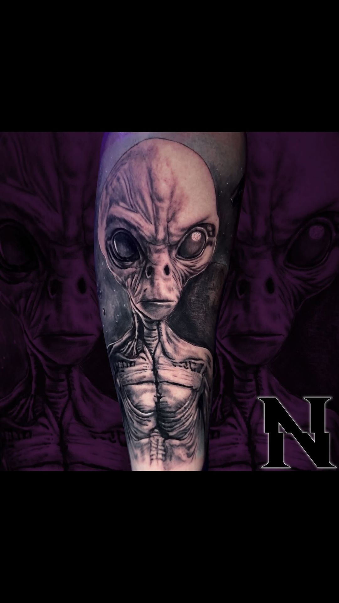 Portfolio de Navet