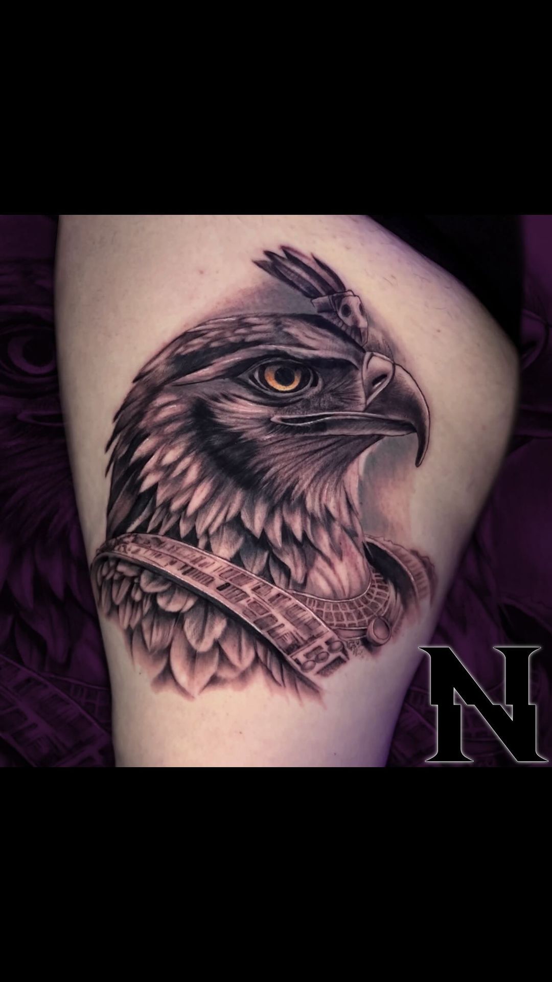 Portfolio de Navet