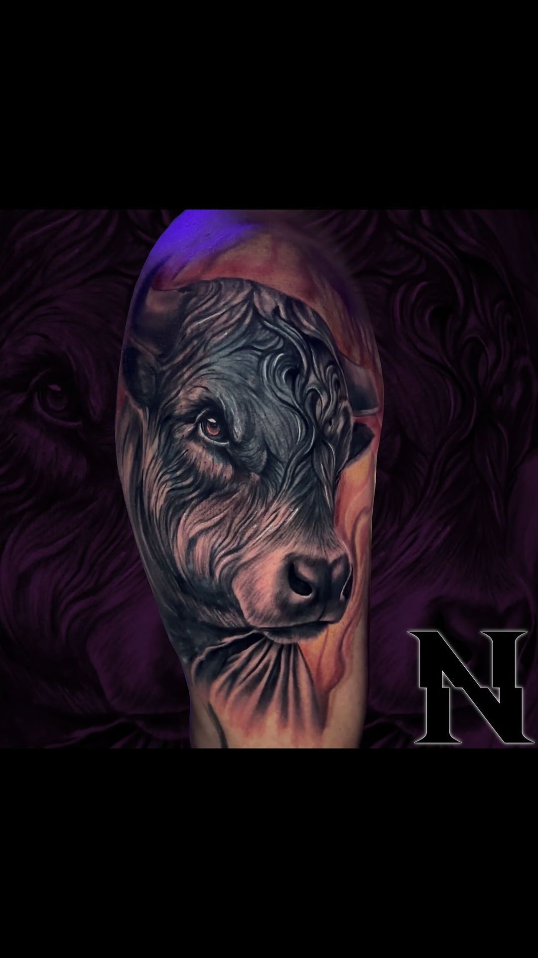 Portfolio de Navet