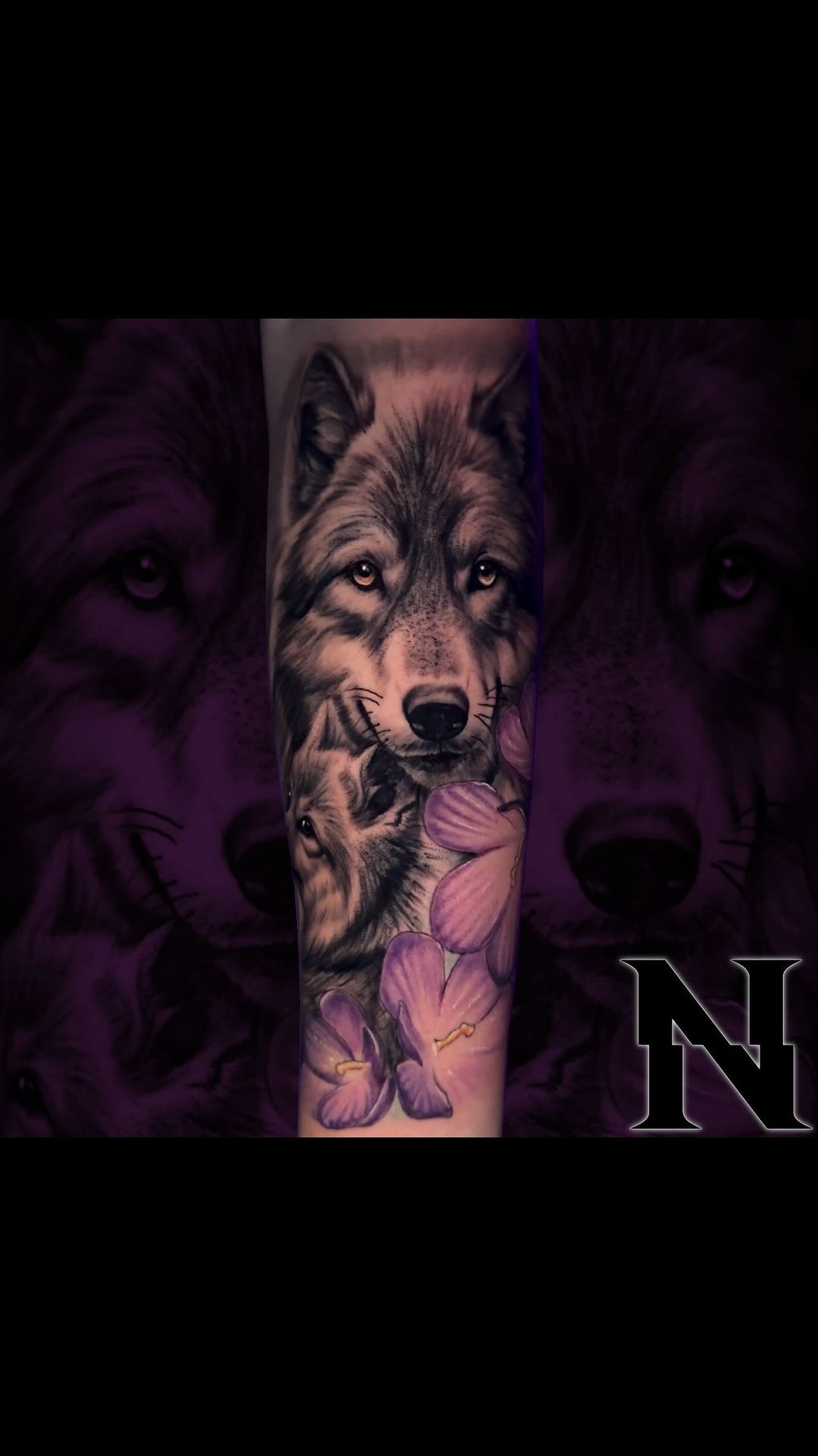 Portfolio de Navet