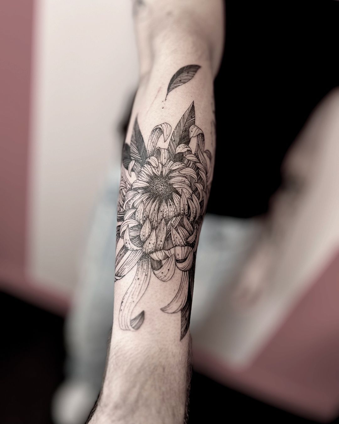 Portfolio de Stan Dottori