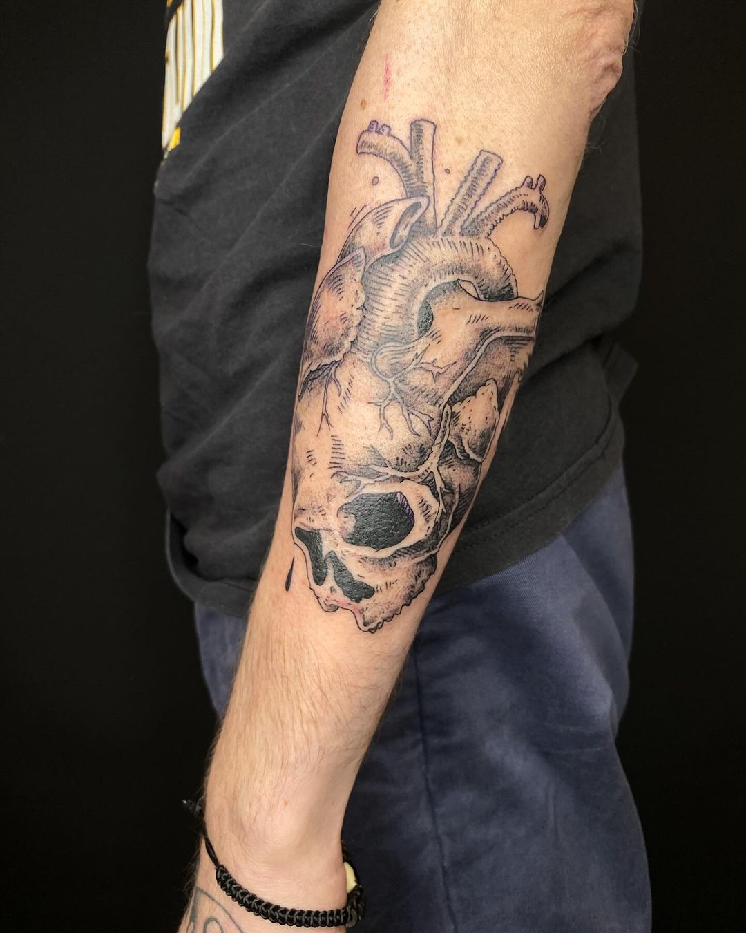 Portfolio de Lucien Cosandey