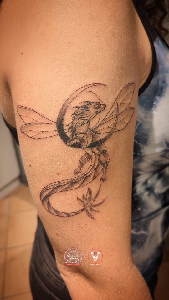 Portfolio de Vaimoe Tatau