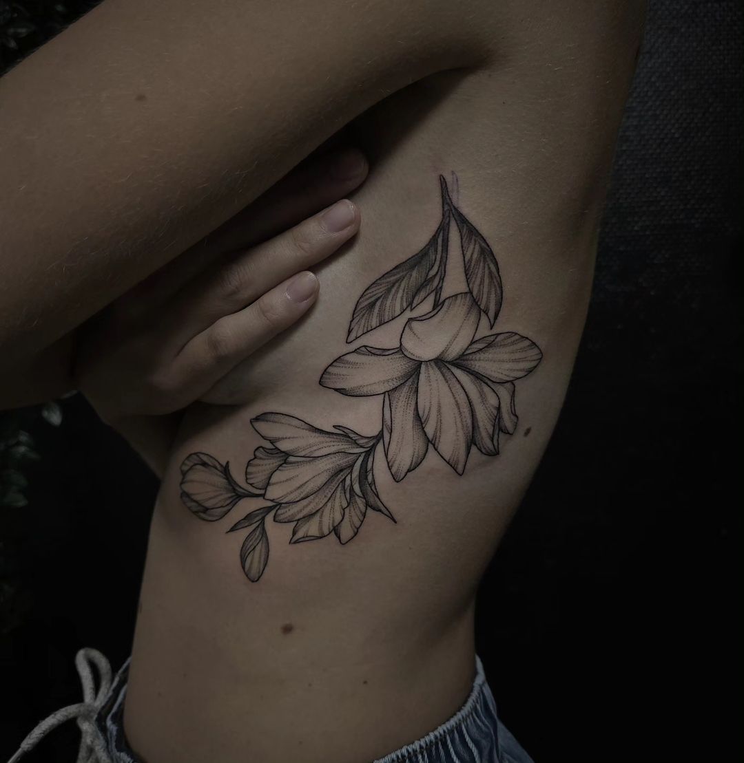 Portfolio de Marin-Marin