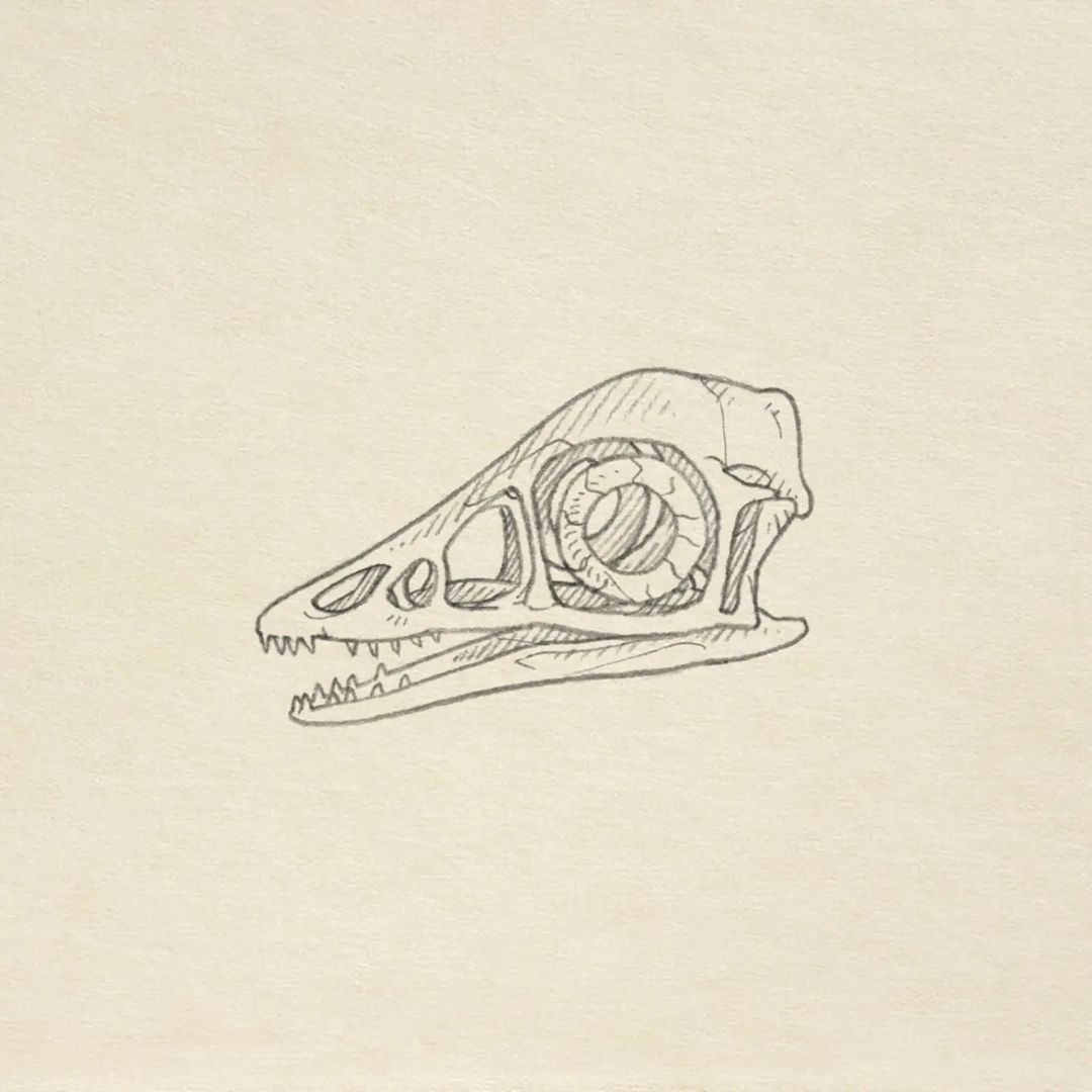 Portfolio de Guillaume Le Treffle