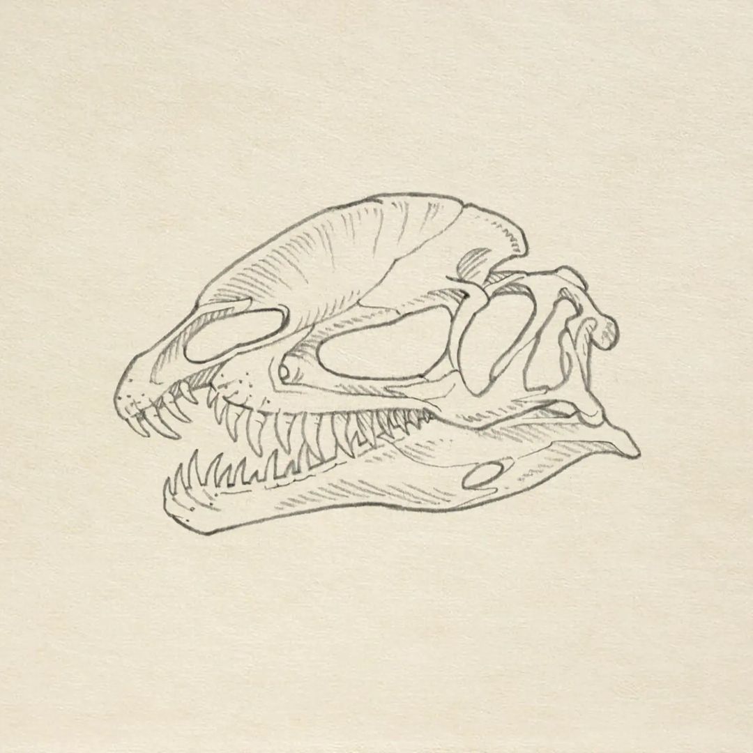 Portfolio de Guillaume Le Treffle