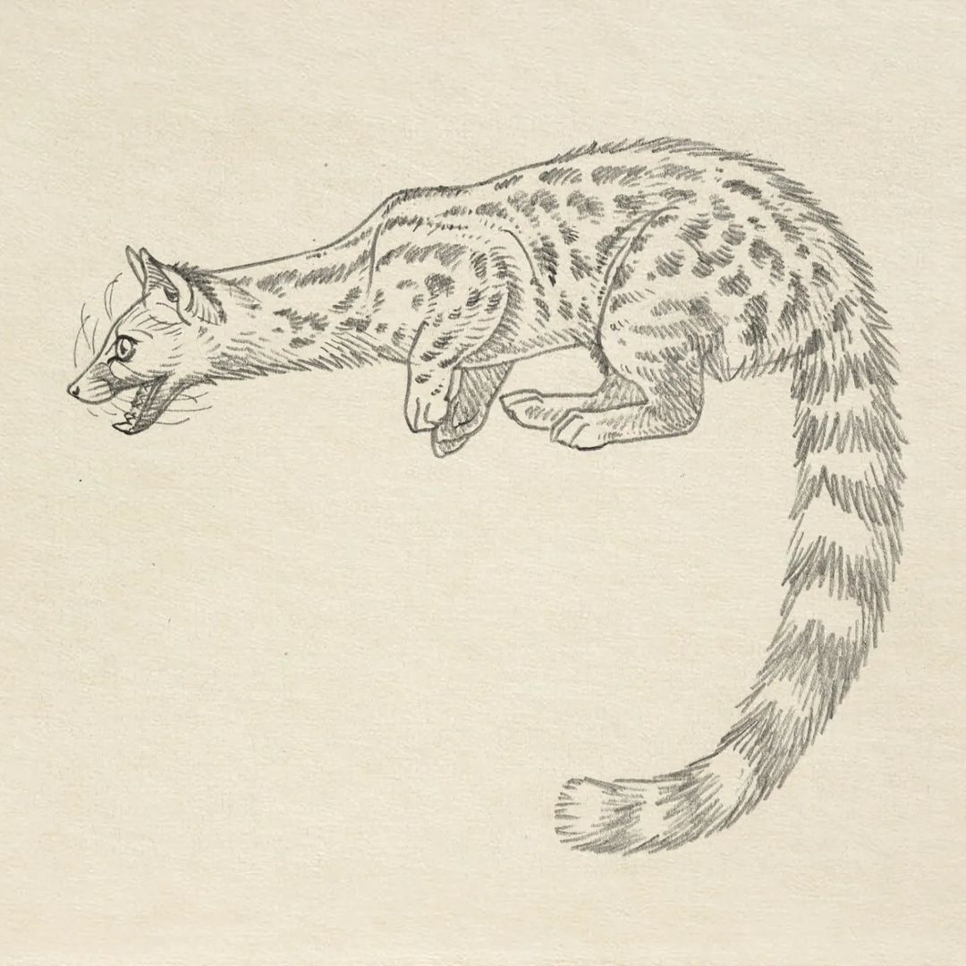 Portfolio de Guillaume Le Treffle
