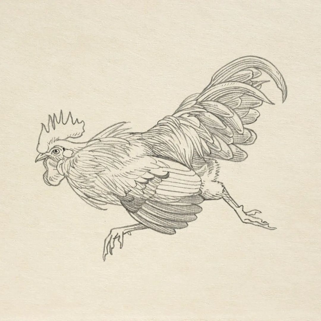 Portfolio de Guillaume Le Treffle