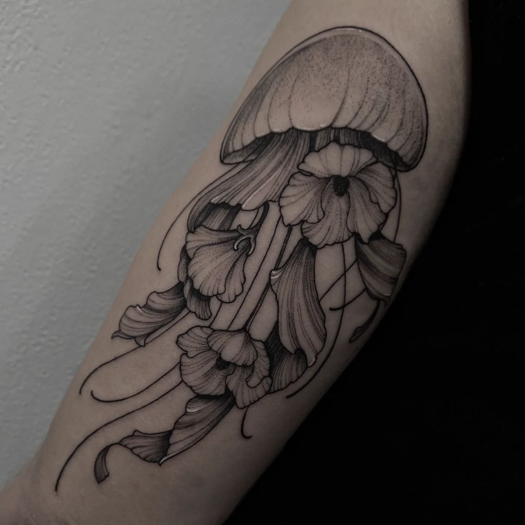 Portfolio de NAIS
