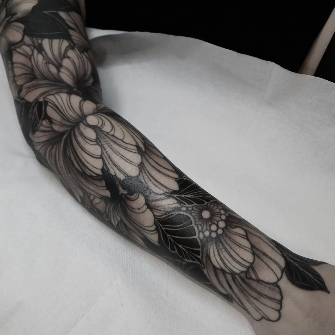Portfolio de NAIS