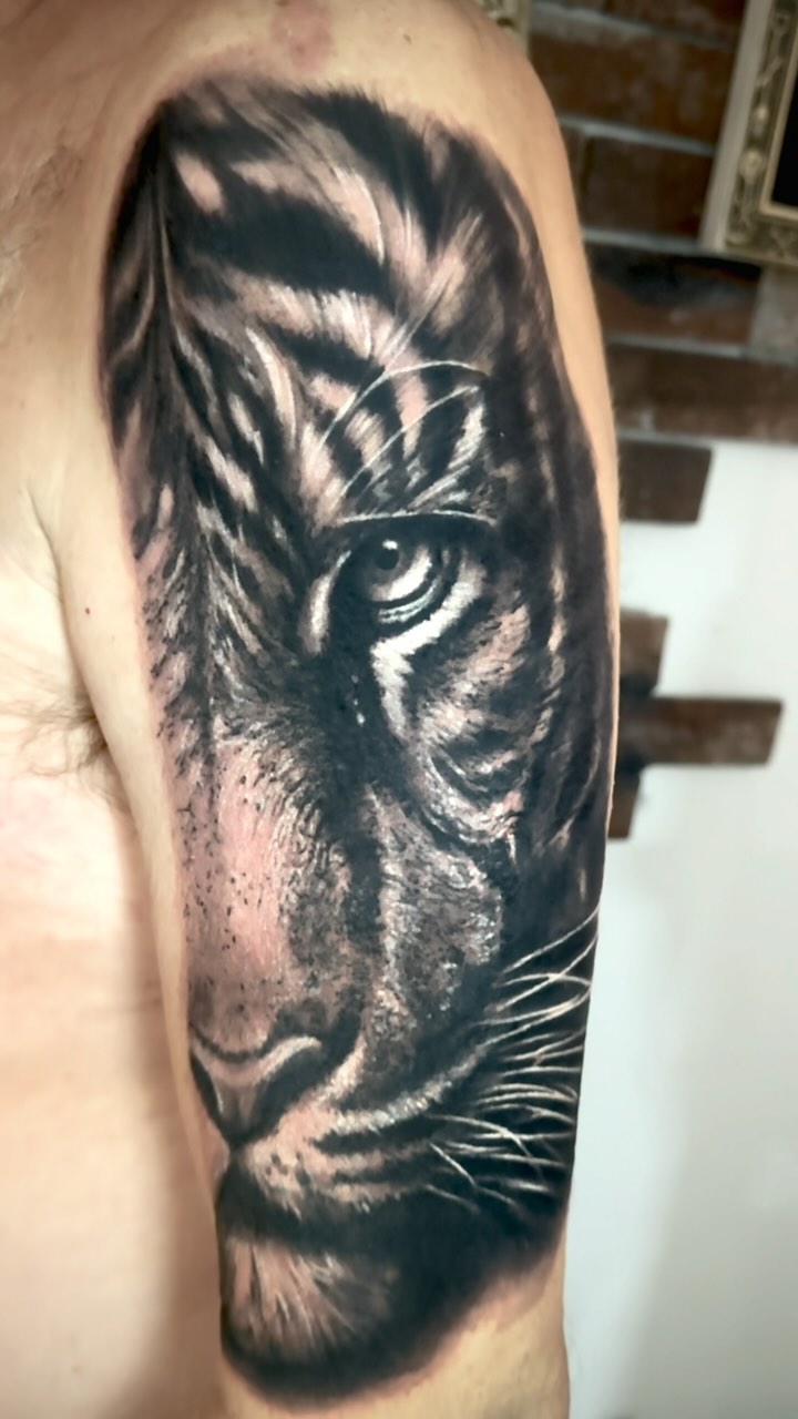 Portfolio de Louis Vicedo Dones