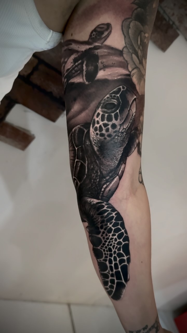 Portfolio de Louis Vicedo Dones