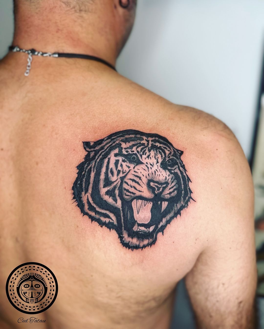 Portfolio de Ced Tatau