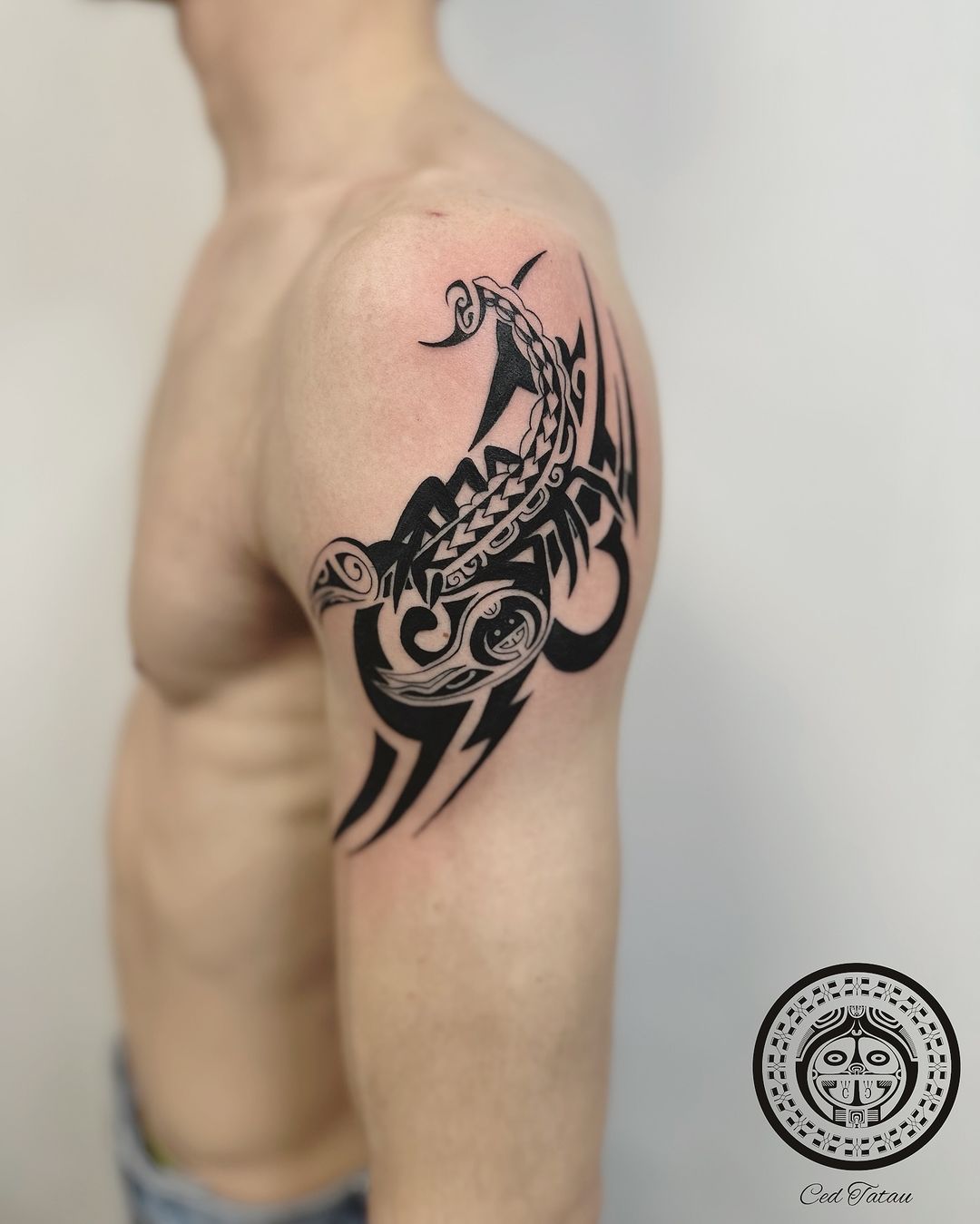 Portfolio de Ced Tatau