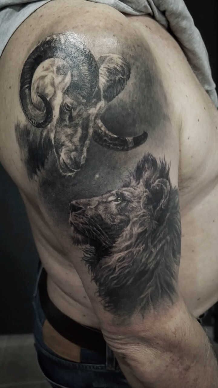 Portfolio de Brendan Le Damany