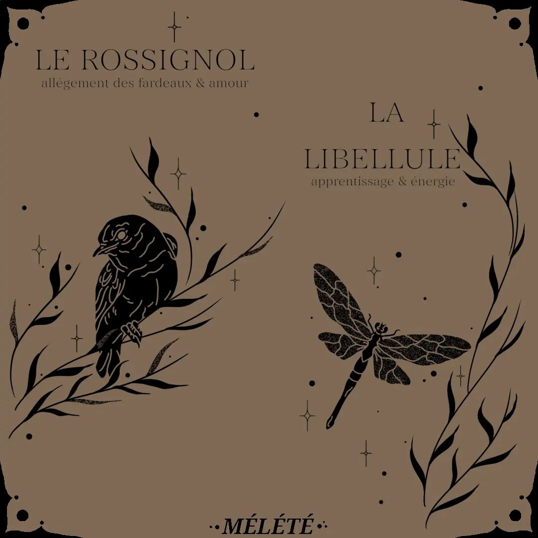Portfolio de Mélété Andréa