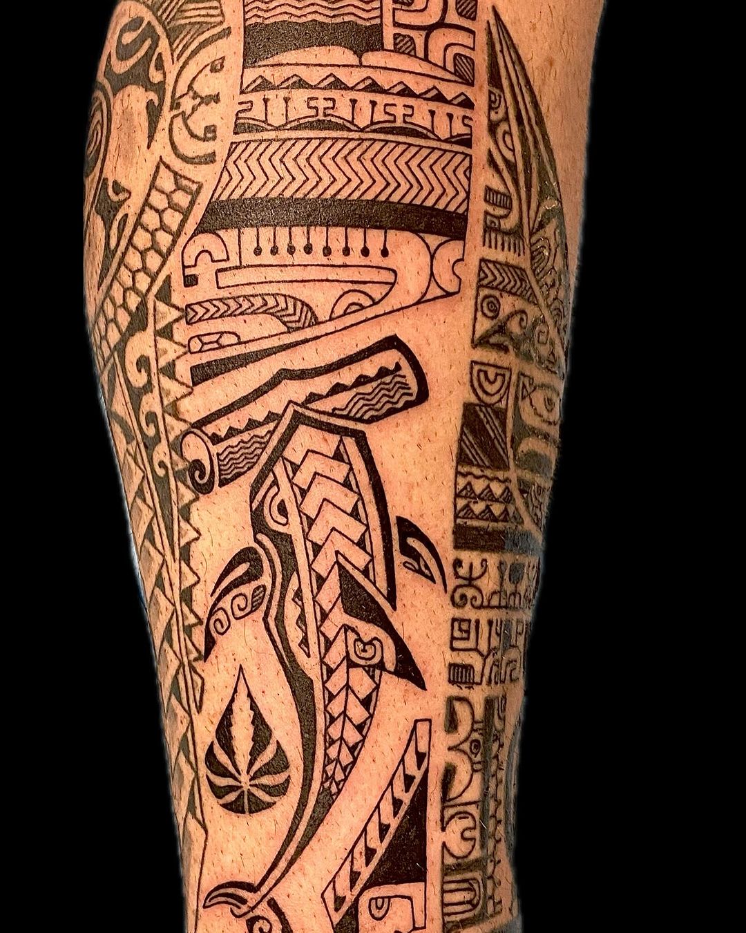 Portfolio de Taupo Vhk