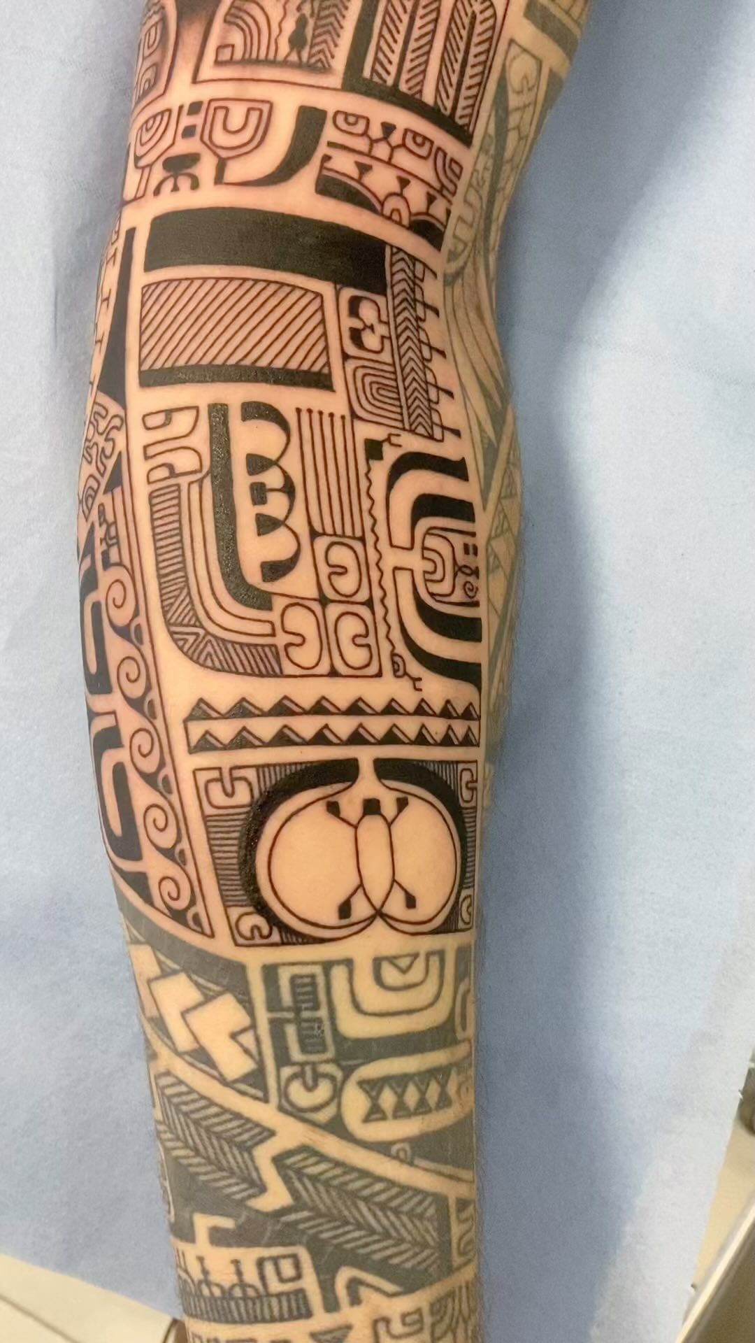 Portfolio de Taupo Vhk