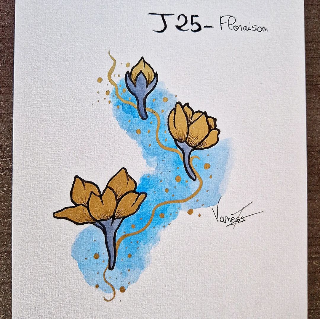 Portfolio de Vanessa Joly