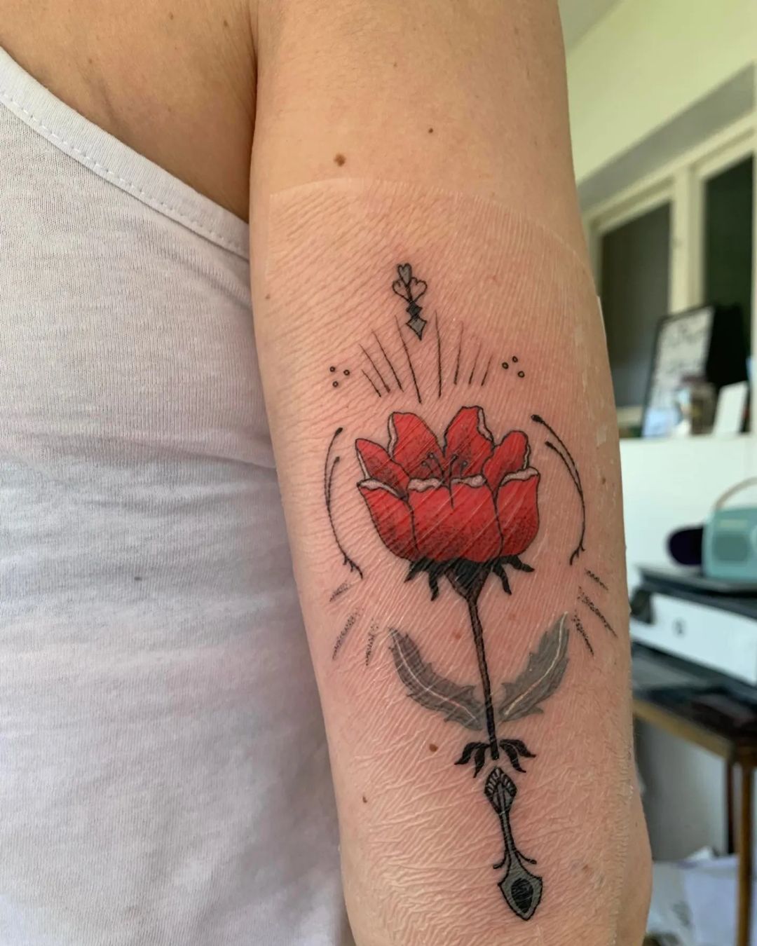Portfolio de Needle.Spa
