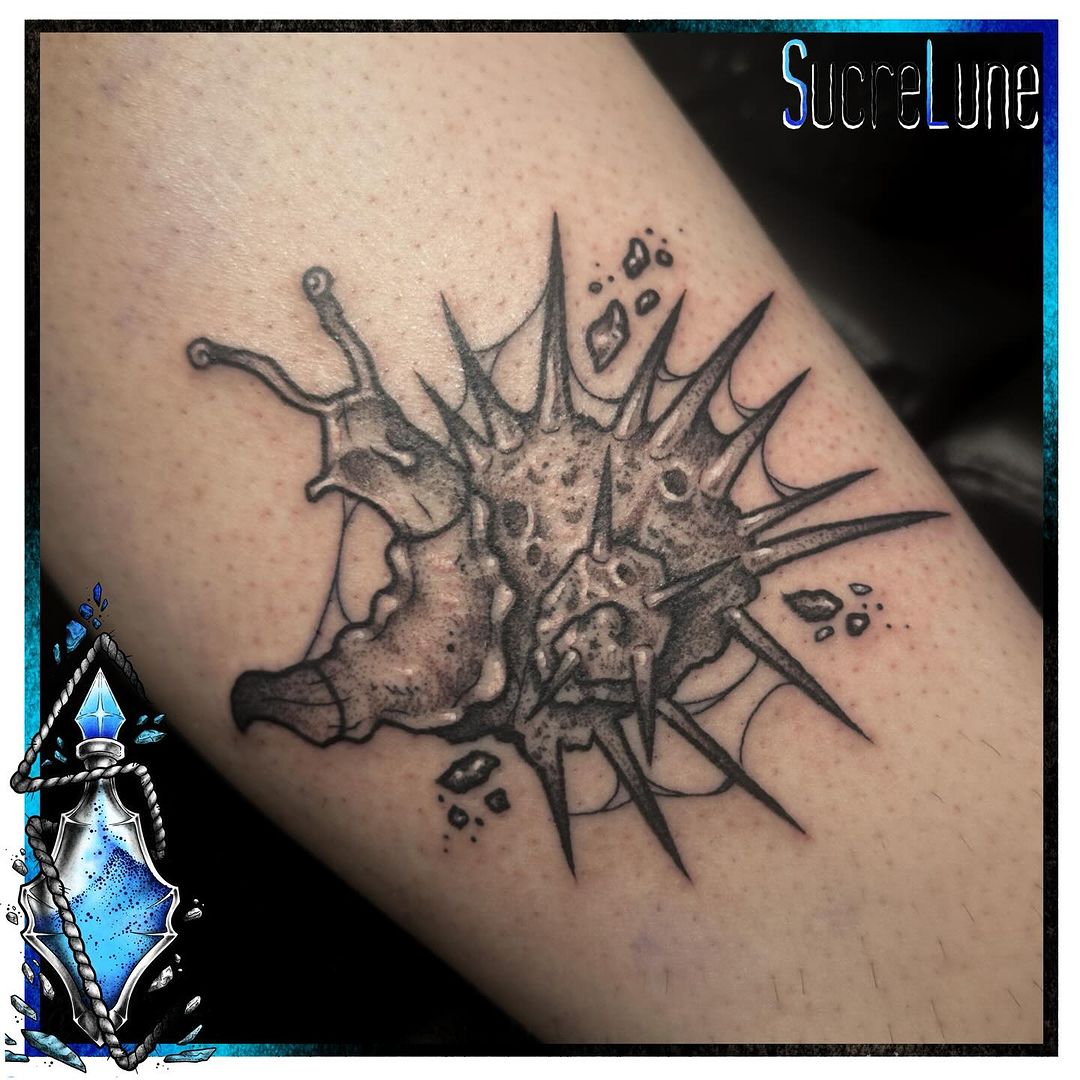 Portfolio de Sucrelune
