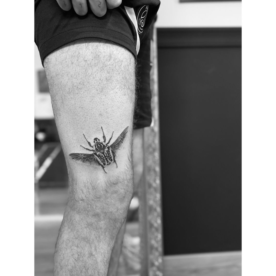 Portfolio de Andréa
