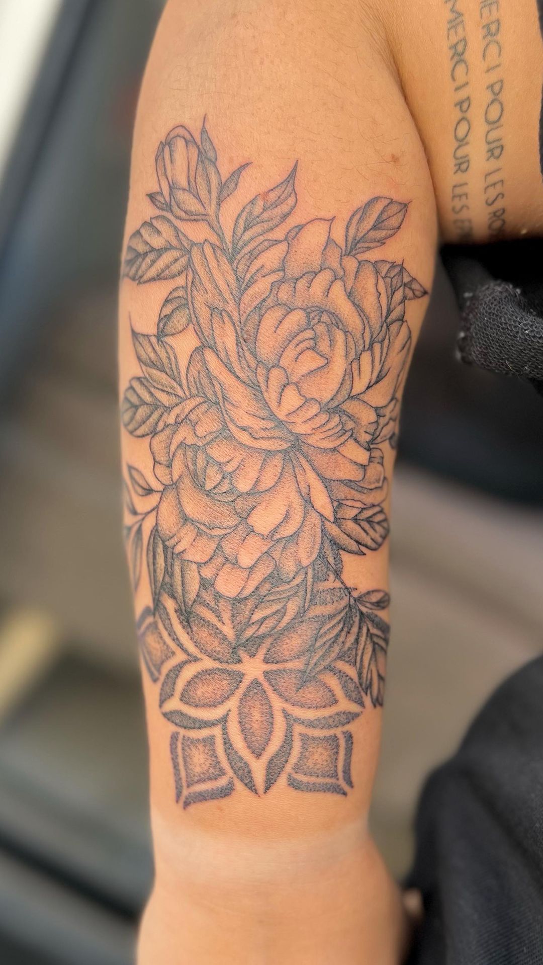 Portfolio de Ink'alyptus