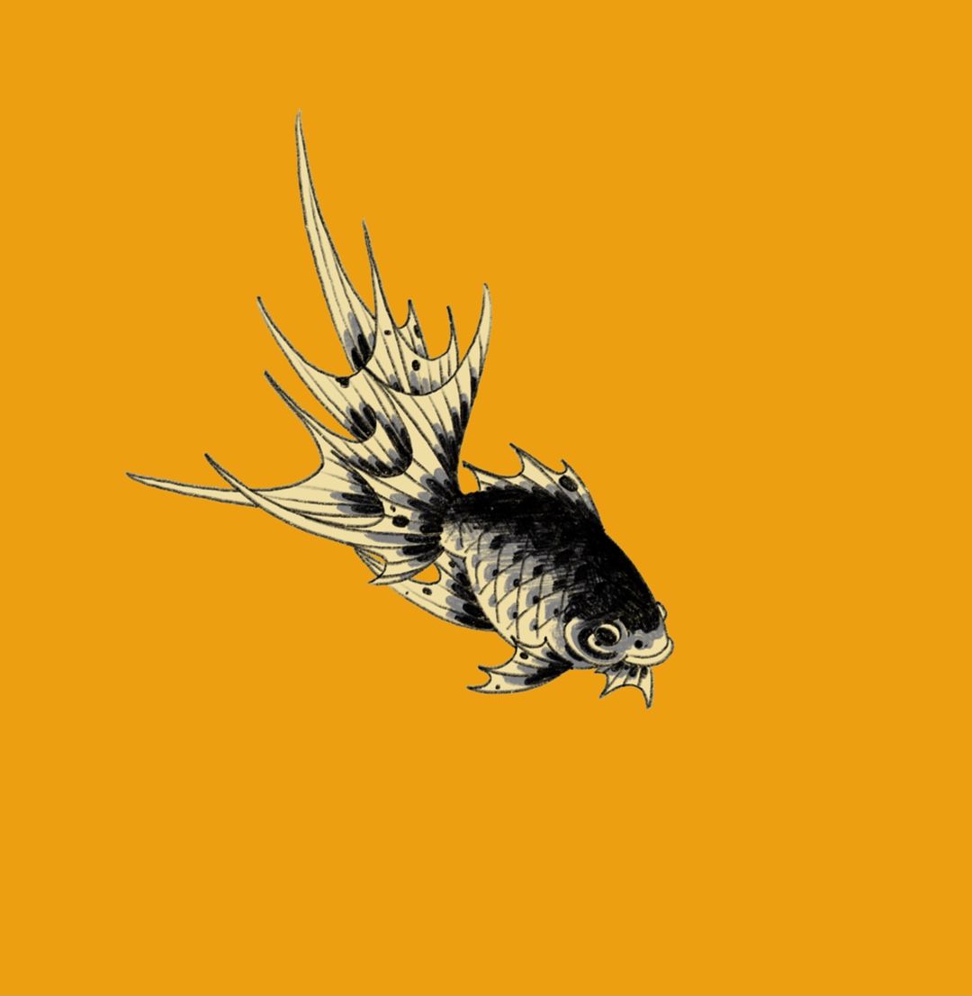 Portfolio de Diego Bergandi