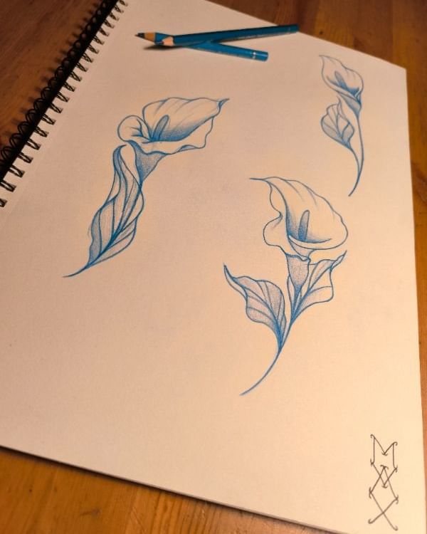 Portfolio de Max