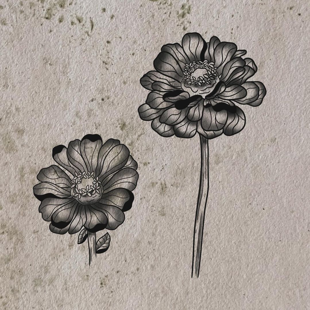 Portfolio de Maddy Rosemary