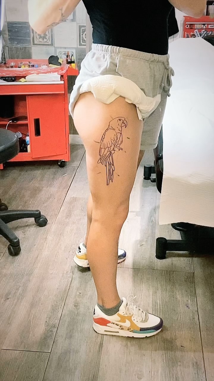 Portfolio de Fred Skull