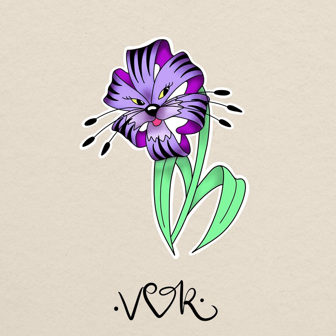 Portfolio de VOK