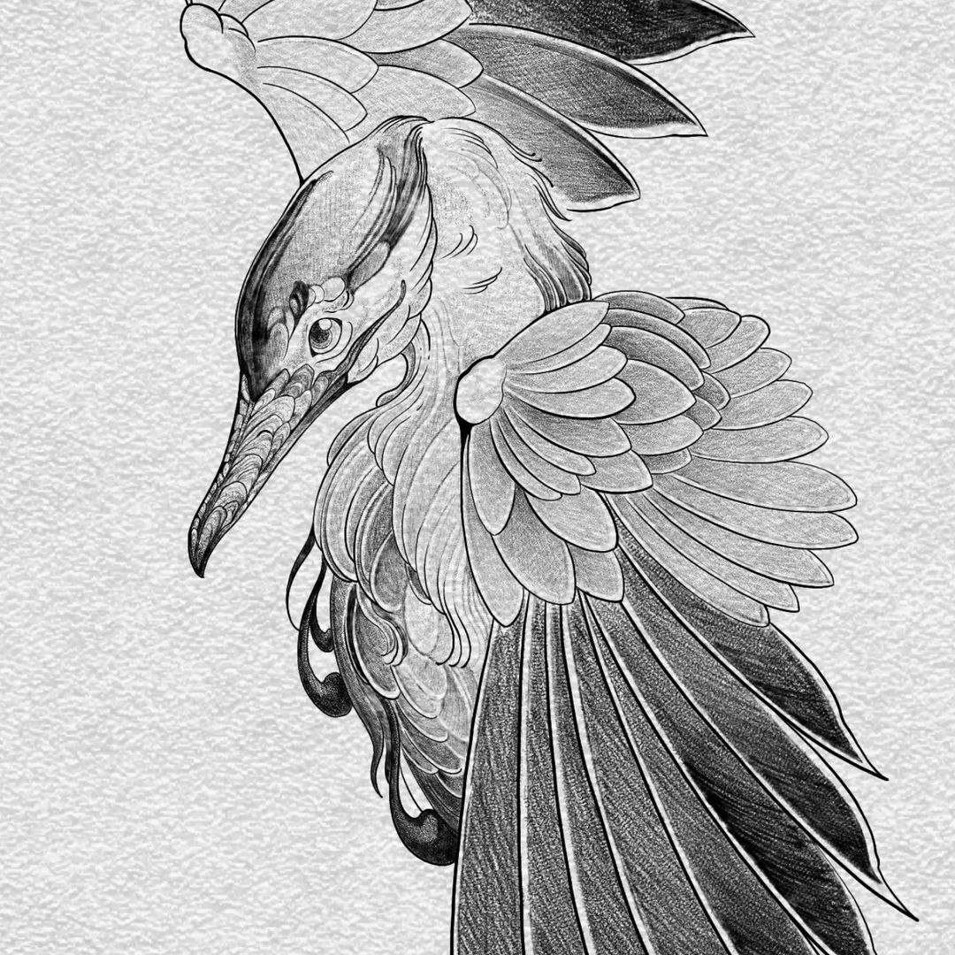Portfolio de Anhyydot