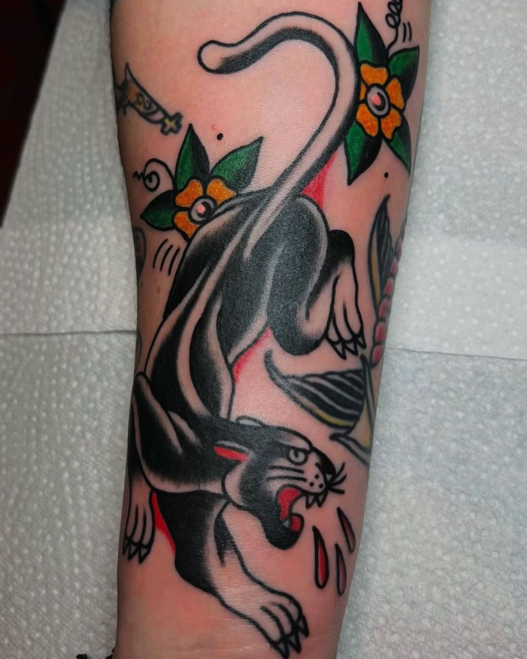 Portfolio de Florian.Suz