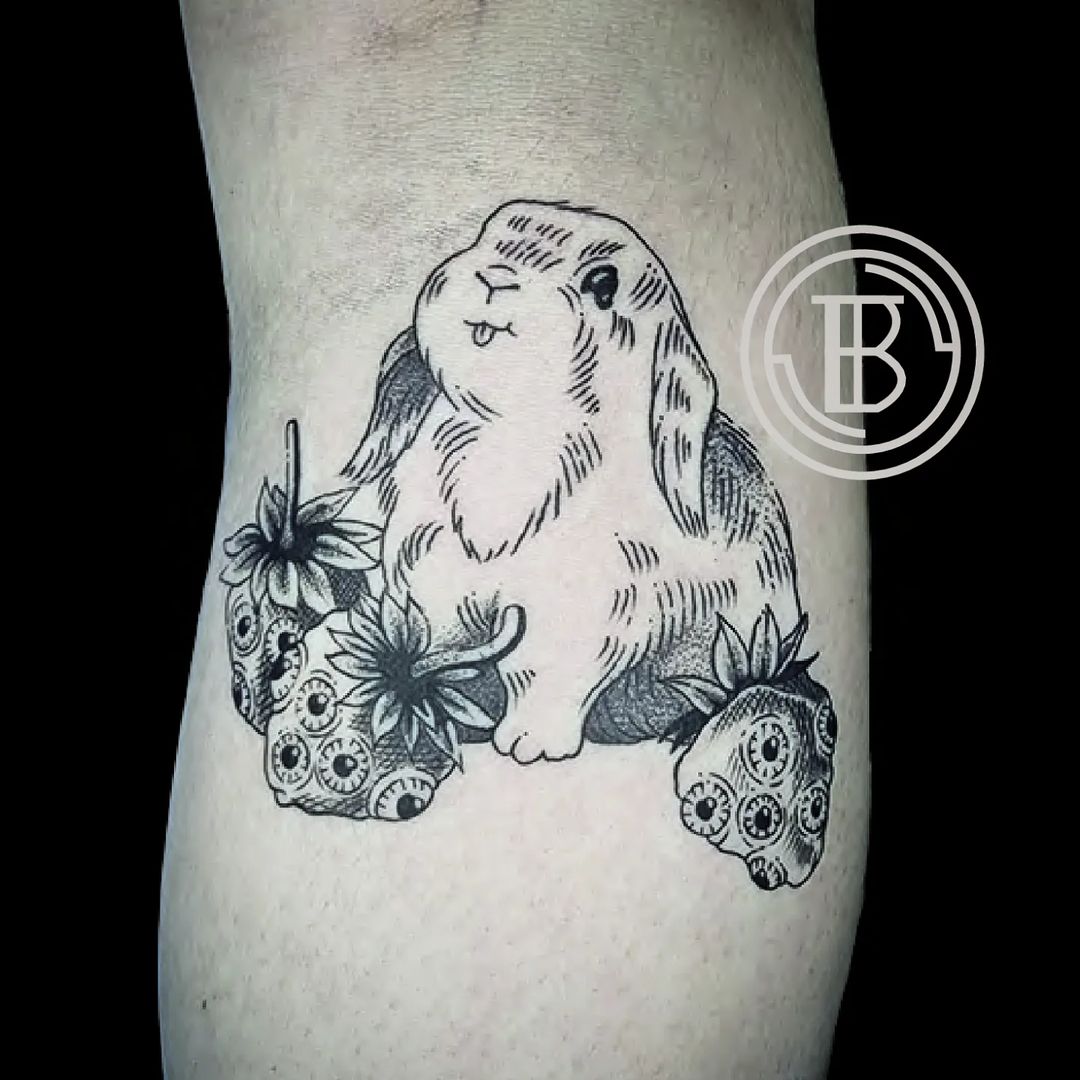 Portfolio de Baltazar