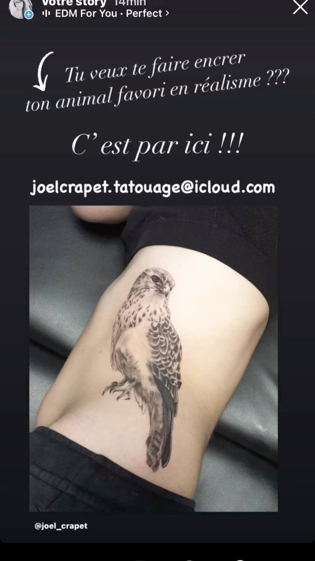 Portfolio de Marjorie Crapet Tatouage