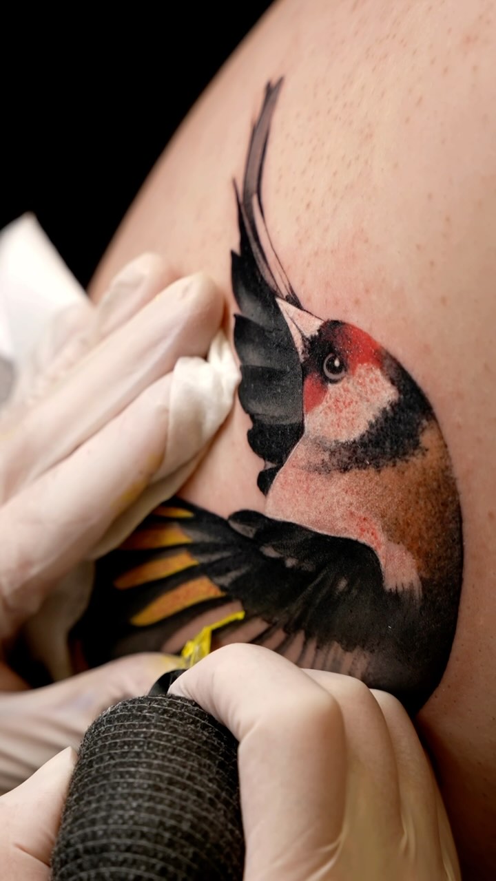 Portfolio de Kuro Sumi Tattoo Ink