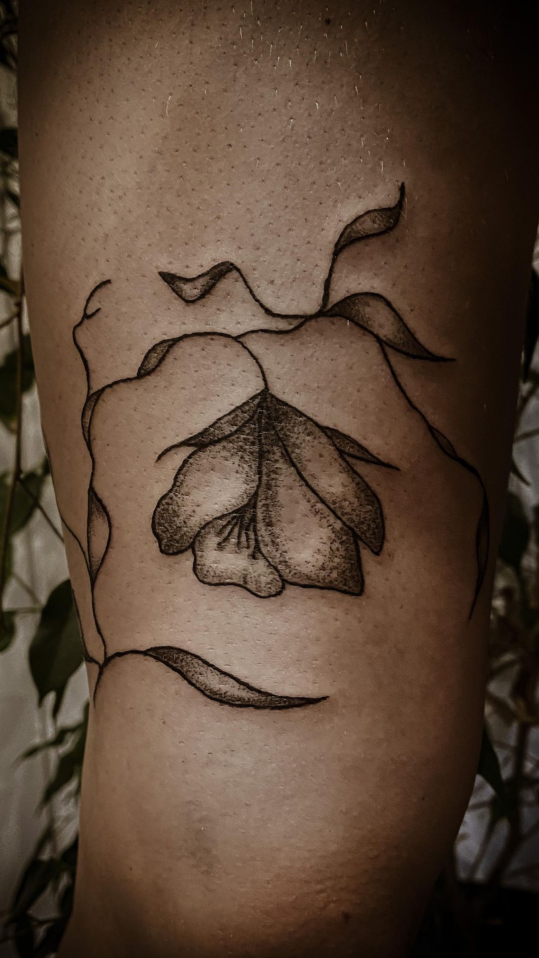 Tatouage par Agrume Hybride Tattoo
