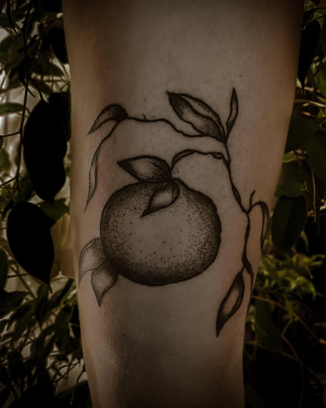 Portfolio de Agrume Hybride Tattoo